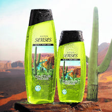 Load image into Gallery viewer, Avon Senses 2 in 1 For Men Cactus Ridge Prickly Pear Cactus & Patchouli Hair & Body Wash - 250ml