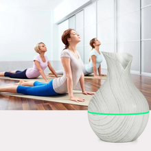 Load image into Gallery viewer, Mini USB Electric Aroma Air Diffuser***