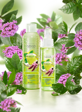 Load image into Gallery viewer, Avon Naturals Infusions Collection Green Tea & Verbena Body Mist - 100ml
