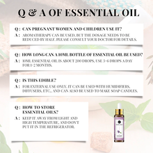 Load image into Gallery viewer, Plant Essence 100% Pure Essential Aromatherapy Oil 10ML with Dropper
