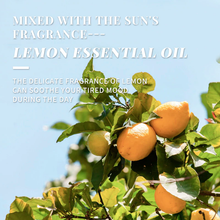 Load image into Gallery viewer, Plant Essence 100% Pure Essential Aromatherapy Oil 10ML with Dropper