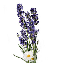 Load image into Gallery viewer, Avon Planet Spa Sleep Ritual Aromatherapy Beauty Sleep Pillow Mist Spray - Lavender & Chamomile - 100ml