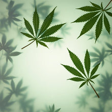 Load image into Gallery viewer, Avon Cannabis Sativa Oil Cleanse & Calm Transforming Oil To Milk Cleanser - 125ml