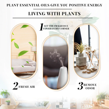 Load image into Gallery viewer, Plant Essence 100% Pure Essential Aromatherapy Oil 10ML with Dropper
