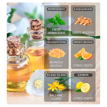 Load image into Gallery viewer, Plant Essence 100% Pure Essential Aromatherapy Oil 10ML with Dropper

