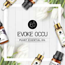 Load image into Gallery viewer, Plant Essence 100% Pure Essential Aromatherapy Oil 10ML with Dropper

