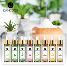 Load image into Gallery viewer, Plant Essence 100% Pure Essential Aromatherapy Oil 10ML with Dropper
